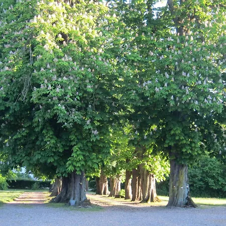 Feel At Gelskov God's Main House Сasa de vacaciones